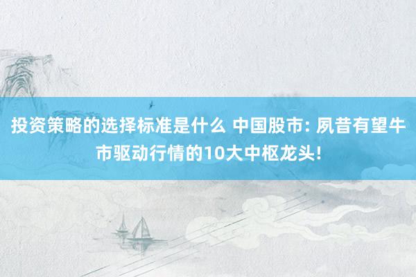 投资策略的选择标准是什么 中国股市: 夙昔有望牛市驱动行情的10大中枢龙头!