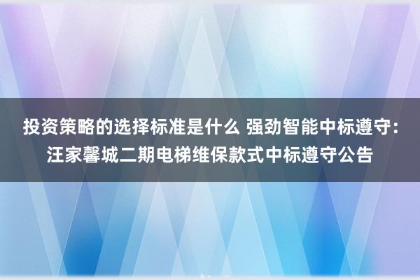 投资策略的选择标准是什么 强劲智能中标遵守：汪家馨城二期电梯维保款式中标遵守公告