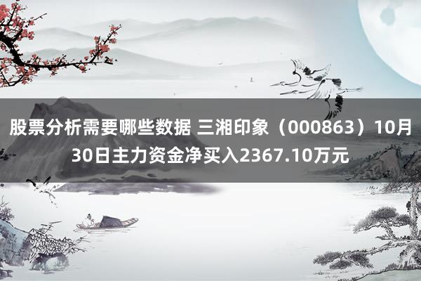 股票分析需要哪些数据 三湘印象（000863）10月30日主力资金净买入2367.10万元