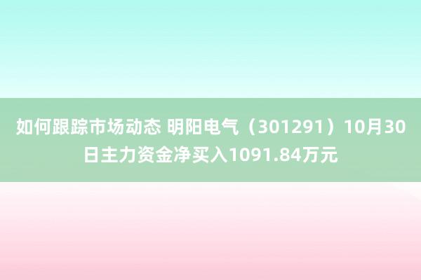 如何跟踪市场动态 明阳电气（301291）10月30日主力资金净买入1091.84万元