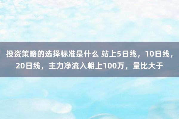 投资策略的选择标准是什么 站上5日线，10日线，20日线，主力净流入朝上100万，量比大于