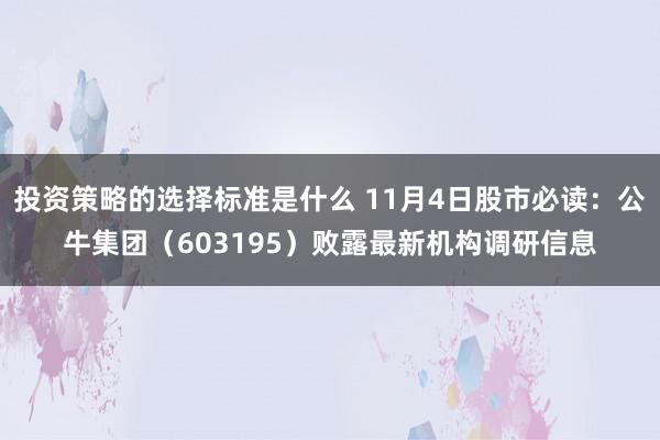 投资策略的选择标准是什么 11月4日股市必读：公牛集团（603195）败露最新机构调研信息