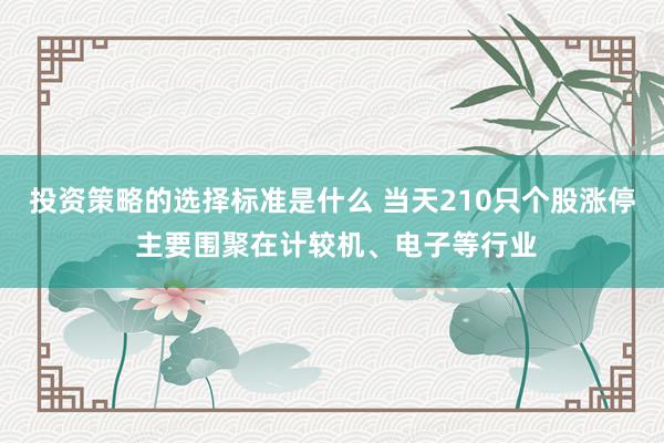 投资策略的选择标准是什么 当天210只个股涨停 主要围聚在计较机、电子等行业