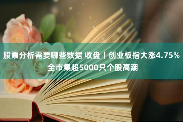 股票分析需要哪些数据 收盘丨创业板指大涨4.75% 全市集超5000只个股高潮