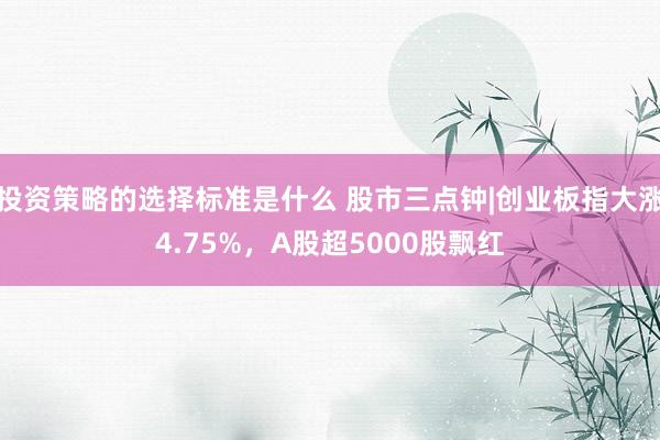 投资策略的选择标准是什么 股市三点钟|创业板指大涨4.75%，A股超5000股飘红