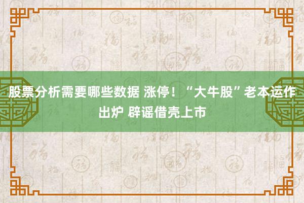 股票分析需要哪些数据 涨停！“大牛股”老本运作出炉 辟谣借壳上市