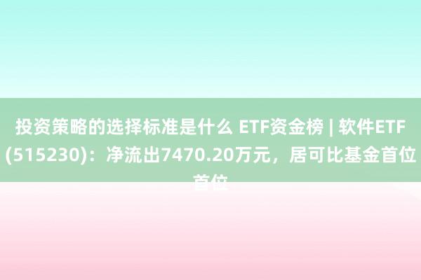 投资策略的选择标准是什么 ETF资金榜 | 软件ETF(515230)：净流出7470.20万元，居可比基金首位