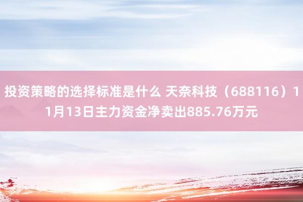 投资策略的选择标准是什么 天奈科技（688116）11月13日主力资金净卖出885.76万元