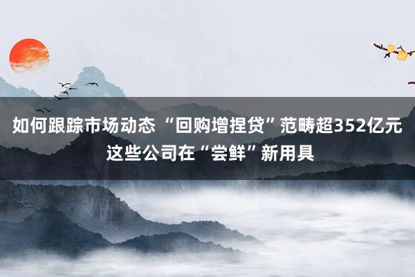 如何跟踪市场动态 “回购增捏贷”范畴超352亿元 这些公司在“尝鲜”新用具