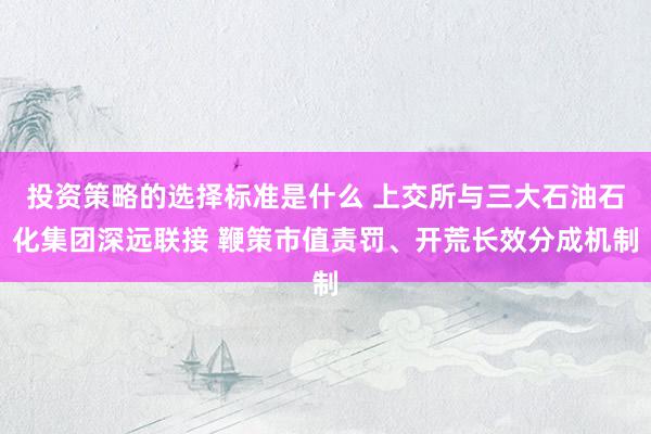 投资策略的选择标准是什么 上交所与三大石油石化集团深远联接 鞭策市值责罚、开荒长效分成机制