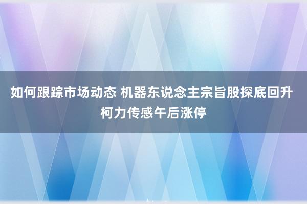 如何跟踪市场动态 机器东说念主宗旨股探底回升 柯力传感午后涨停