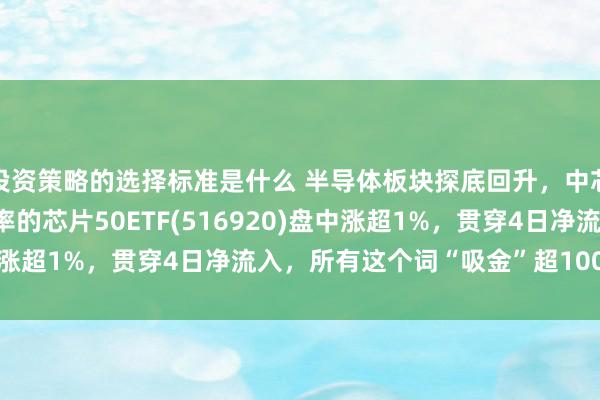 投资策略的选择标准是什么 半导体板块探底回升，中芯外洋涨超2%，最低费率的芯片50ETF(516920)盘中涨超1%，贯穿4日净流入，所有这个词“吸金”超1000万元！