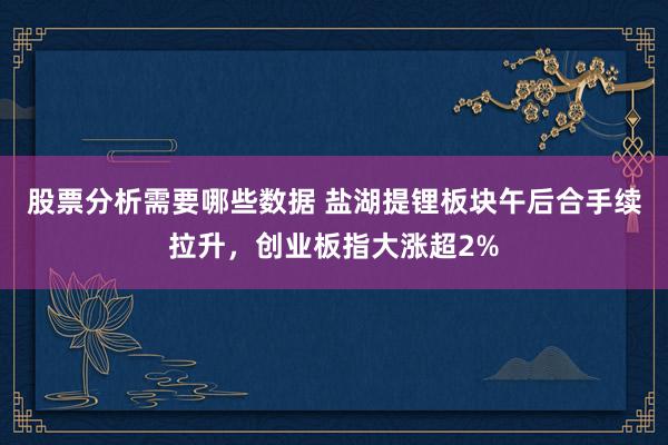 股票分析需要哪些数据 盐湖提锂板块午后合手续拉升，创业板指大涨超2%