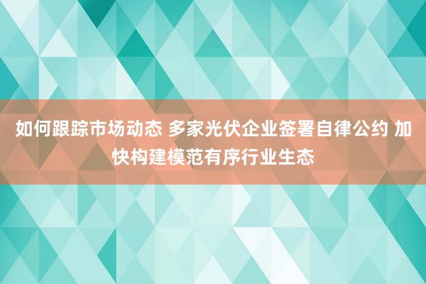 如何跟踪市场动态 多家光伏企业签署自律公约 加快构建模范有序行业生态