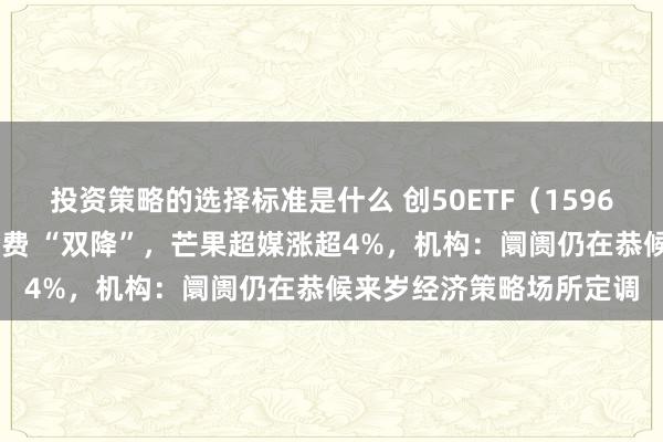 投资策略的选择标准是什么 创50ETF（159681）基金贬责费、托管费 “双降”，芒果超媒涨超4%，机构：阛阓仍在恭候来岁经济策略场所定调