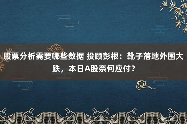 股票分析需要哪些数据 投顾彭根：靴子落地外围大跌，本日A股奈何应付？