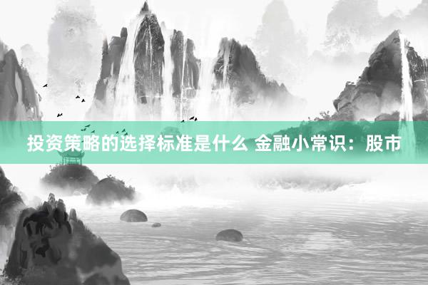 投资策略的选择标准是什么 金融小常识：股市