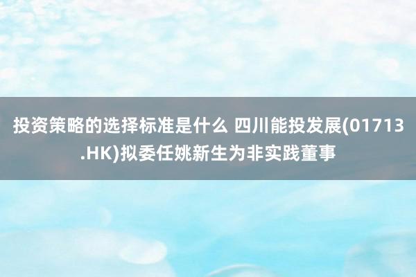 投资策略的选择标准是什么 四川能投发展(01713.HK)拟委任姚新生为非实践董事