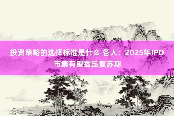 投资策略的选择标准是什么 各人：2025年IPO市集有望插足复苏期