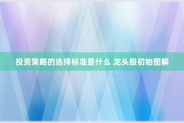 投资策略的选择标准是什么 龙头股初始图解