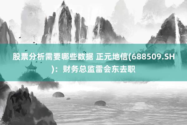 股票分析需要哪些数据 正元地信(688509.SH)：财务总监雷会东去职