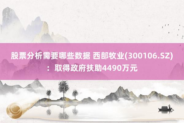 股票分析需要哪些数据 西部牧业(300106.SZ)：取得政府扶助4490万元