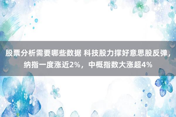 股票分析需要哪些数据 科技股力撑好意思股反弹，纳指一度涨近2%，中概指数大涨超4%