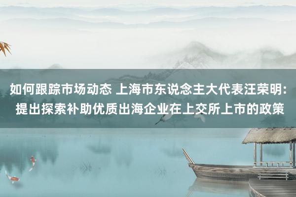 如何跟踪市场动态 上海市东说念主大代表汪荣明: 提出探索补助优质出海企业在上交所上市的政策