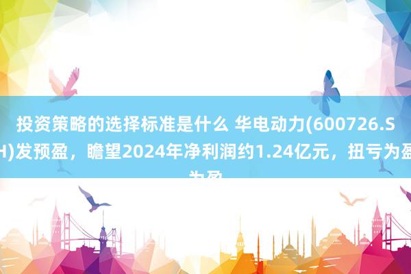 投资策略的选择标准是什么 华电动力(600726.SH)发预盈，瞻望2024年净利润约1.24亿元，扭亏为盈