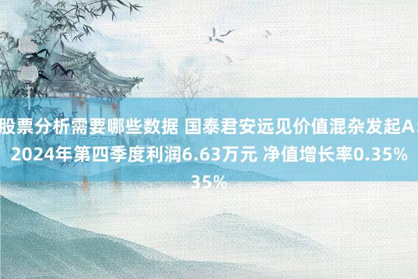 股票分析需要哪些数据 国泰君安远见价值混杂发起A：2024年第四季度利润6.63万元 净值增长率0.35%