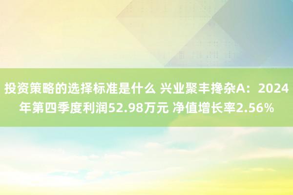 投资策略的选择标准是什么 兴业聚丰搀杂A：2024年第四季度利润52.98万元 净值增长率2.56%