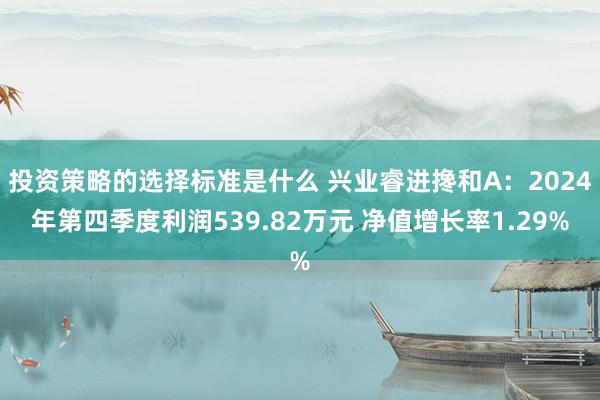 投资策略的选择标准是什么 兴业睿进搀和A：2024年第四季度利润539.82万元 净值增长率1.29%