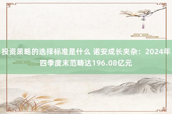 投资策略的选择标准是什么 诺安成长夹杂：2024年四季度末范畴达196.08亿元