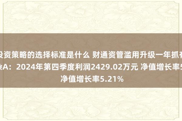 投资策略的选择标准是什么 财通资管滥用升级一年抓有期夹杂A：2024年第四季度利润2429.02万元 净值增长率5.21%