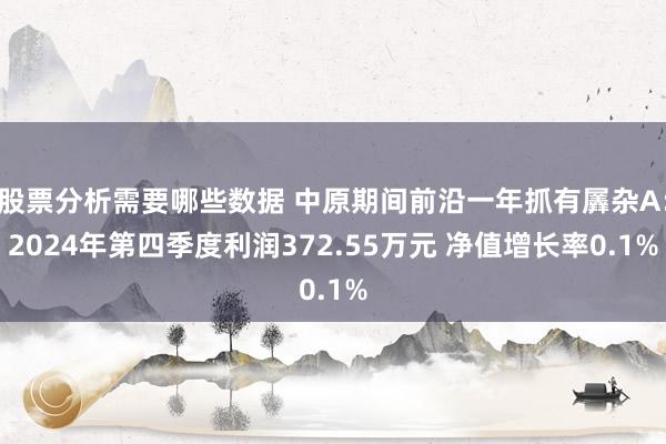 股票分析需要哪些数据 中原期间前沿一年抓有羼杂A：2024年第四季度利润372.55万元 净值增长率0.1%