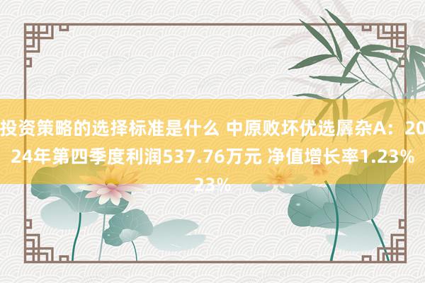 投资策略的选择标准是什么 中原败坏优选羼杂A：2024年第四季度利润537.76万元 净值增长率1.23%