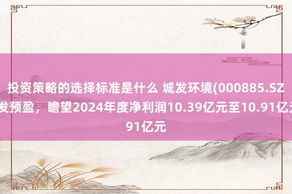 投资策略的选择标准是什么 城发环境(000885.SZ)发预盈，瞻望2024年度净利润10.39亿元至10.91亿元