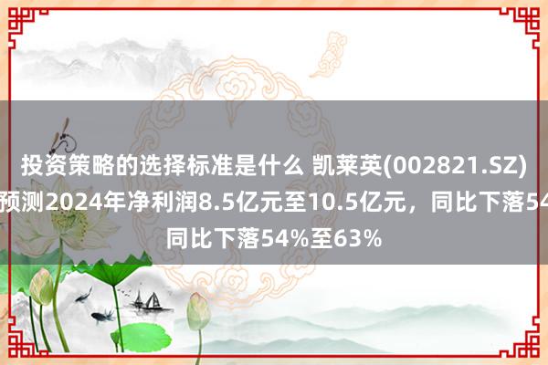 投资策略的选择标准是什么 凯莱英(002821.SZ)发预减，预测2024年净利润8.5亿元至10.5亿元，同比下落54%至63%