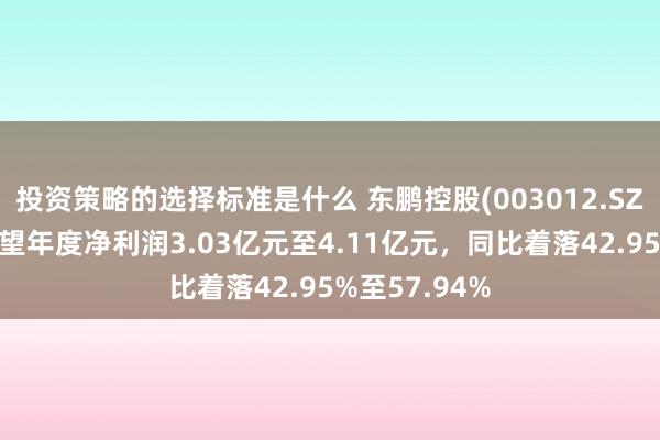 投资策略的选择标准是什么 东鹏控股(003012.SZ)发预减，展望年度净利润3.03亿元至4.11亿元，同比着落42.95%至57.94%