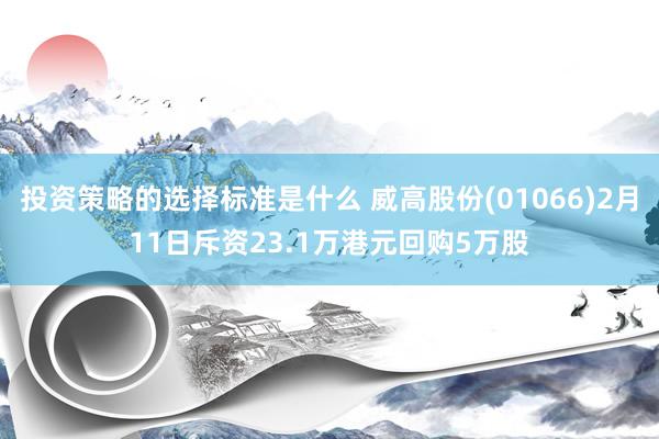 投资策略的选择标准是什么 威高股份(01066)2月11日斥资23.1万港元回购5万股