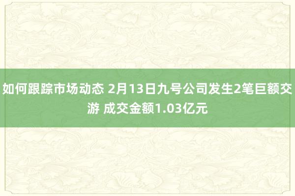 如何跟踪市场动态 2月13日九号公司发生2笔巨额交游 成交金额1.03亿元