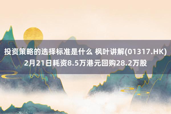 投资策略的选择标准是什么 枫叶讲解(01317.HK)2月21日耗资8.5万港元回购28.2万股