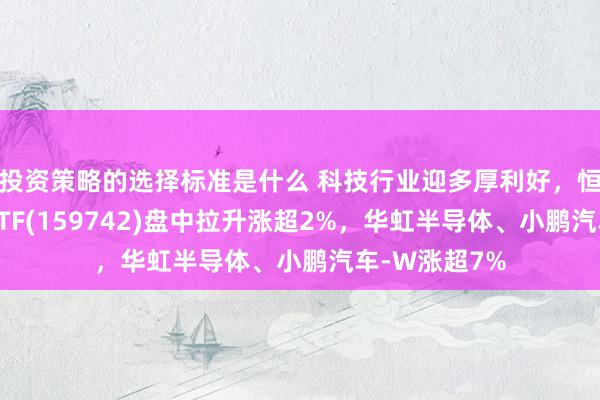 投资策略的选择标准是什么 科技行业迎多厚利好，恒生科技指数ETF(159742)盘中拉升涨超2%，华虹半导体、小鹏汽车-W涨超7%