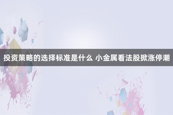 投资策略的选择标准是什么 小金属看法股掀涨停潮