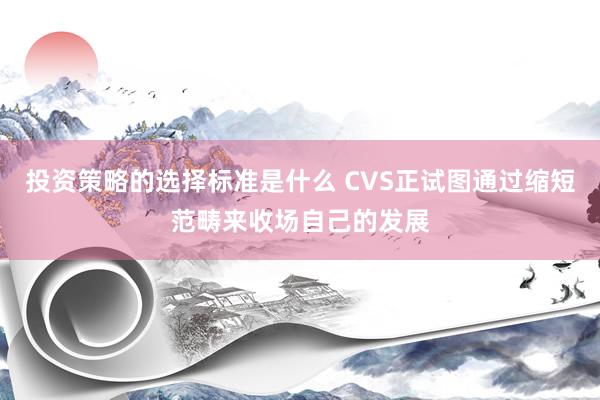 投资策略的选择标准是什么 CVS正试图通过缩短范畴来收场自己的发展