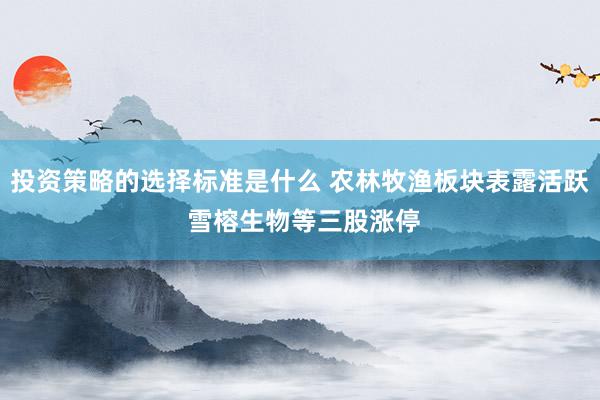 投资策略的选择标准是什么 农林牧渔板块表露活跃 雪榕生物等三股涨停