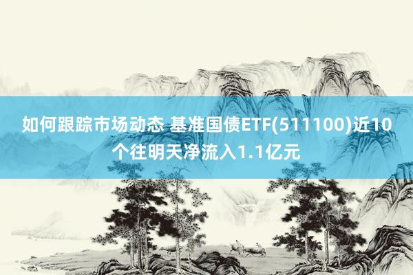 如何跟踪市场动态 基准国债ETF(511100)近10个往明天净流入1.1亿元