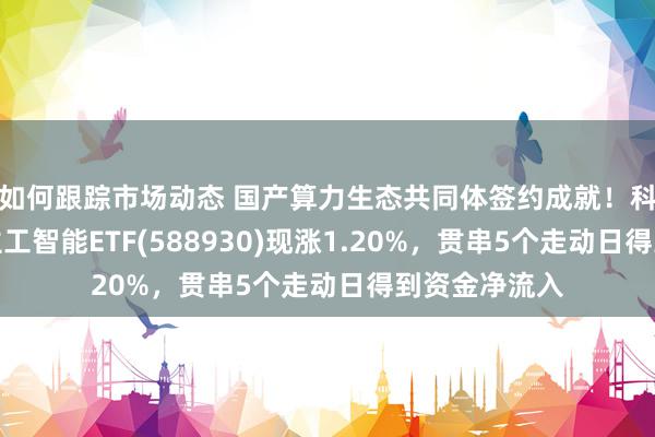 如何跟踪市场动态 国产算力生态共同体签约成就！科创板东说念主工智能ETF(588930)现涨1.20%，贯串5个走动日得到资金净流入