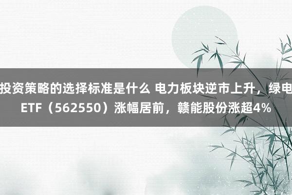 投资策略的选择标准是什么 电力板块逆市上升，绿电ETF（562550）涨幅居前，赣能股份涨超4%