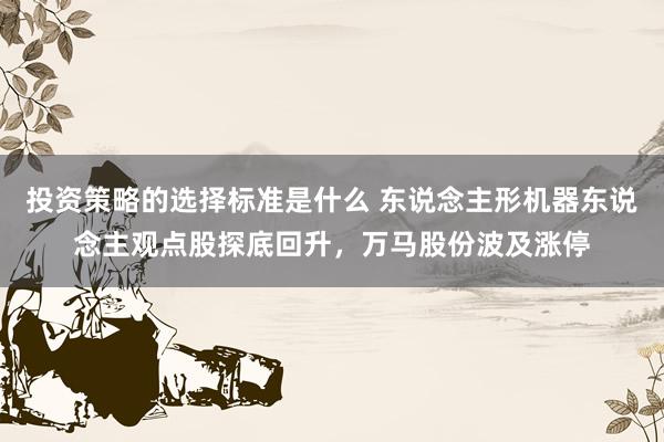 投资策略的选择标准是什么 东说念主形机器东说念主观点股探底回升，万马股份波及涨停